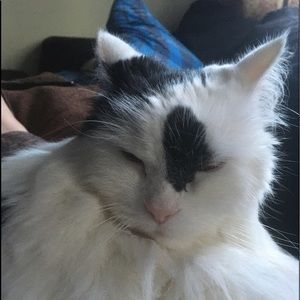 Meet your Posher, Machaela